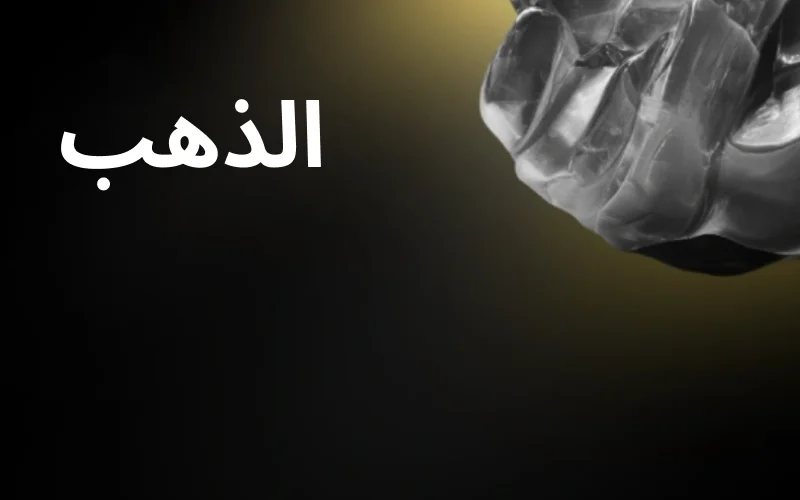 انضمّي إلى المستوى الذهبي في Megapari واستمتعي بخدمة مدير شخصي.